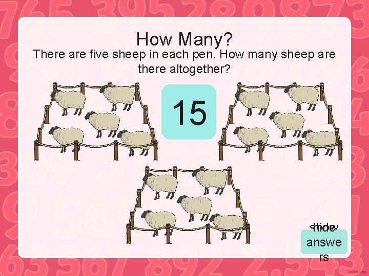How Many? There are five sheep in each pen. How many sheep are there