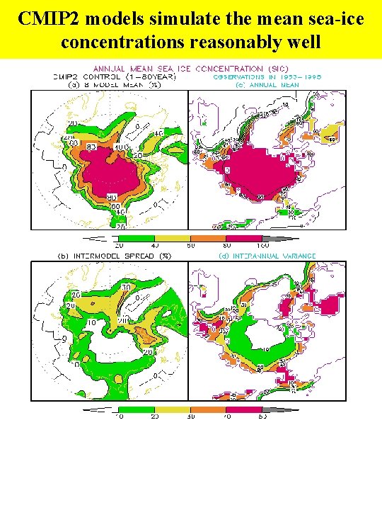 CMIP 2 models simulate the mean sea-ice concentrations reasonably well 