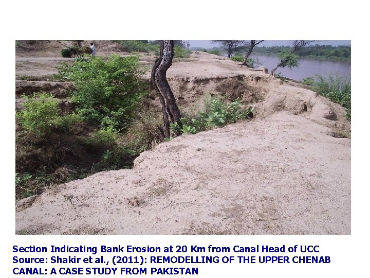 Section Indicating Bank Erosion at 20 Km from Canal Head of UCC Source: Shakir