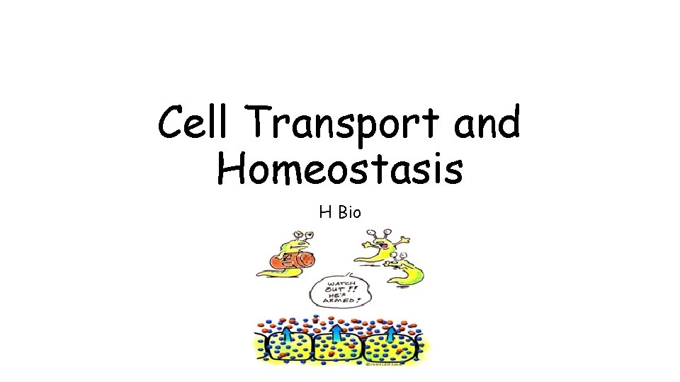 Cell Transport and Homeostasis H Bio 