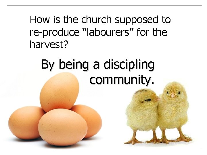 How is the church supposed to re-produce “labourers” for the harvest? By being a