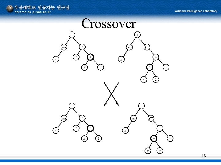 Crossover 18 Crossover 18