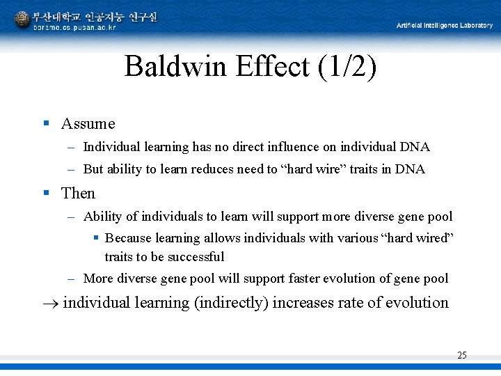 Baldwin Effect (1/2) § Assume – Individual learning has no direct influence on individual Baldwin Effect (1/2) § Assume – Individual learning has no direct influence on individual