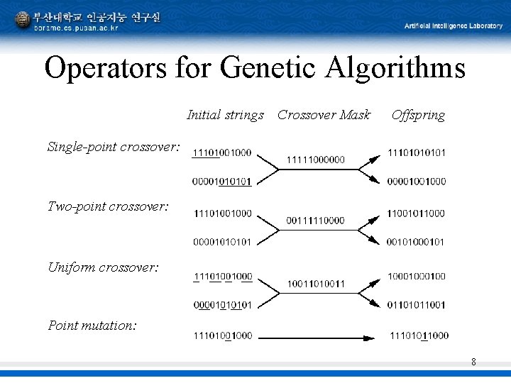 Operators for Genetic Algorithms Initial strings Crossover Mask Offspring Single-point crossover: Two-point crossover: Uniform Operators for Genetic Algorithms Initial strings Crossover Mask Offspring Single-point crossover: Two-point crossover: Uniform