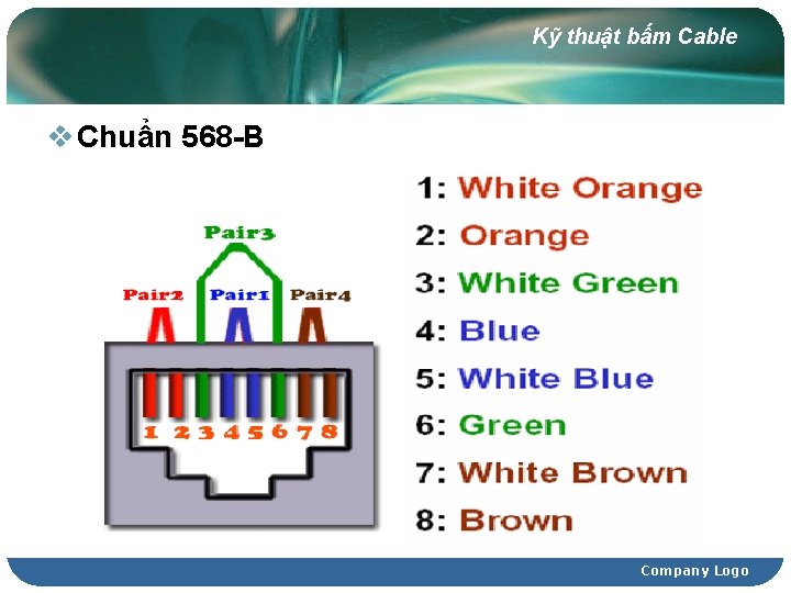 Kỹ thuật bấm Cable v Chuẩn 568 -B Company Logo 