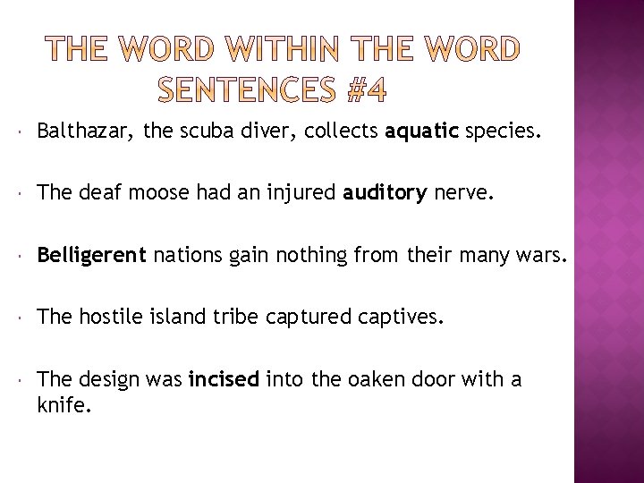  Balthazar, the scuba diver, collects aquatic species. The deaf moose had an injured