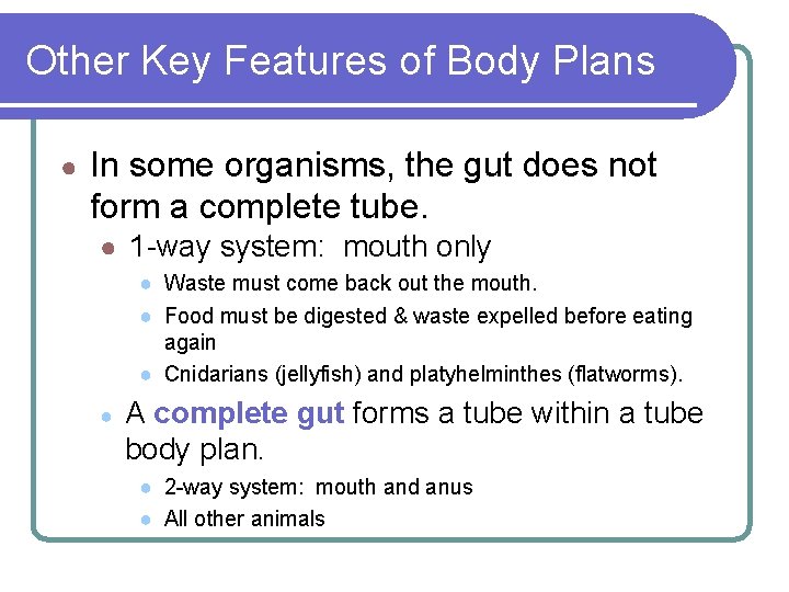 Other Key Features of Body Plans ● In some organisms, the gut does not Other Key Features of Body Plans ● In some organisms, the gut does not