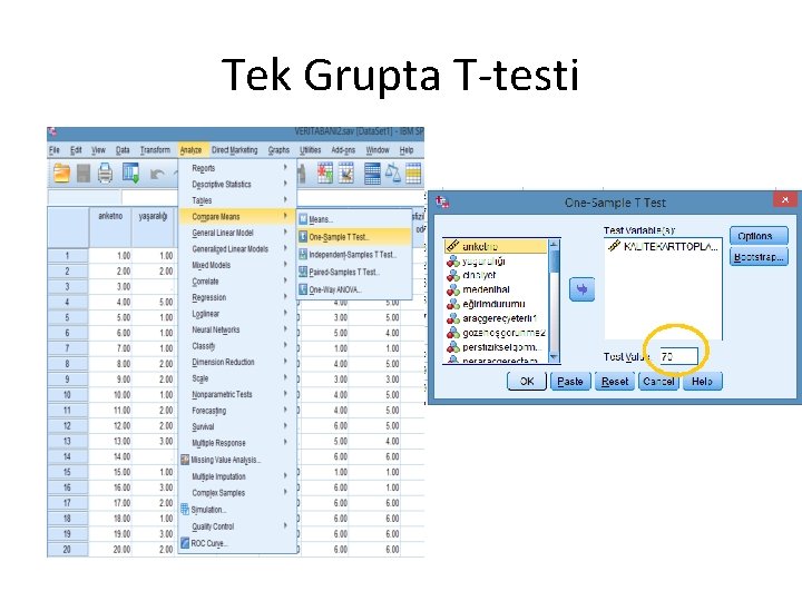 Tek Grupta T-testi 