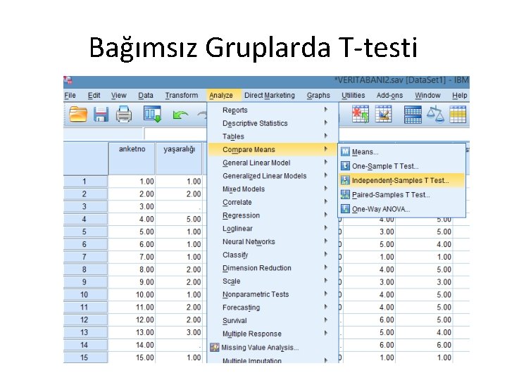 Bağımsız Gruplarda T-testi 