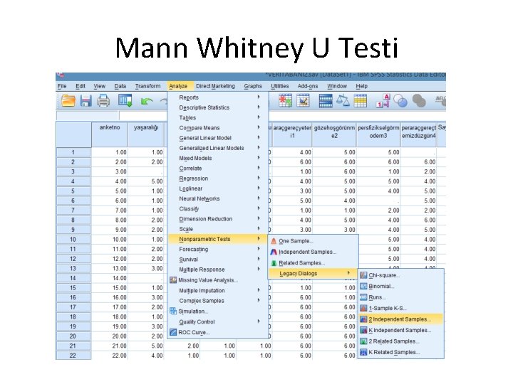 Mann Whitney U Testi Mann Whitney U Testi