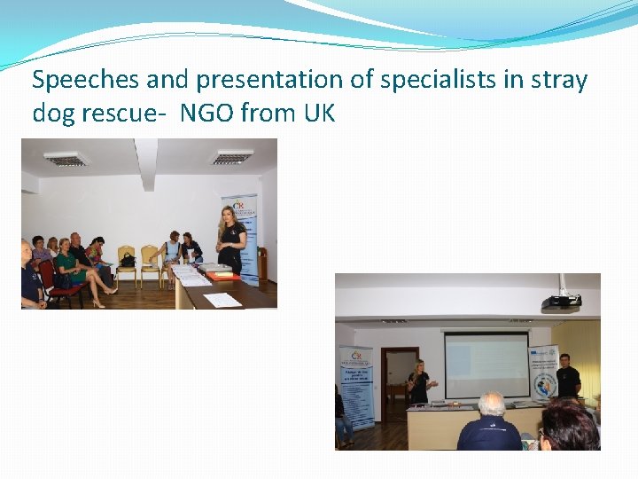 Speeches and presentation of specialists in stray dog rescue- NGO from UK 