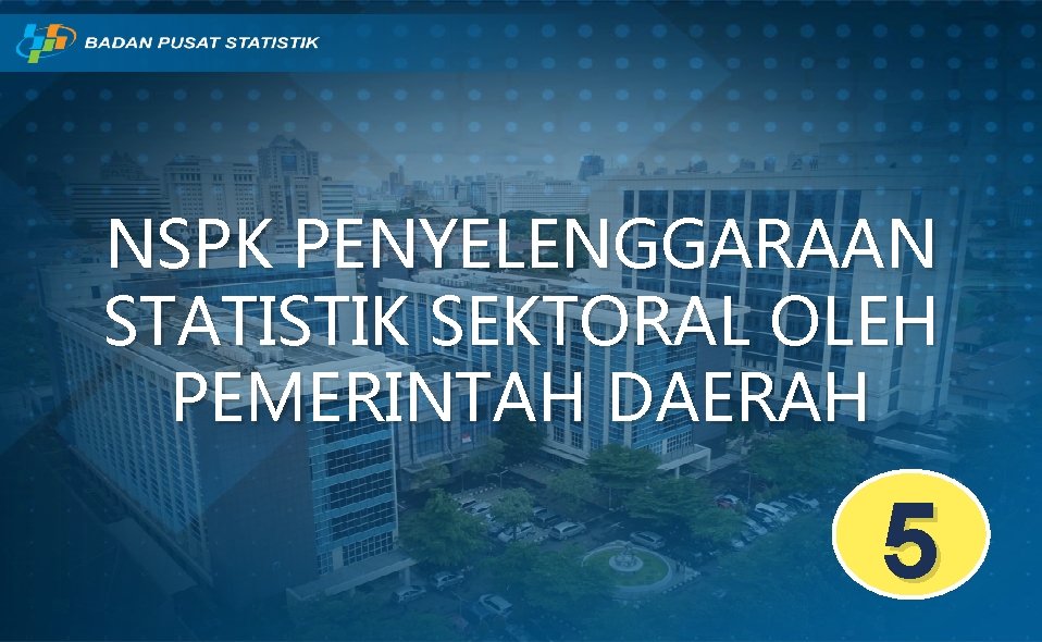 NSPK PENYELENGGARAAN STATISTIK SEKTORAL OLEH PEMERINTAH DAERAH 5 