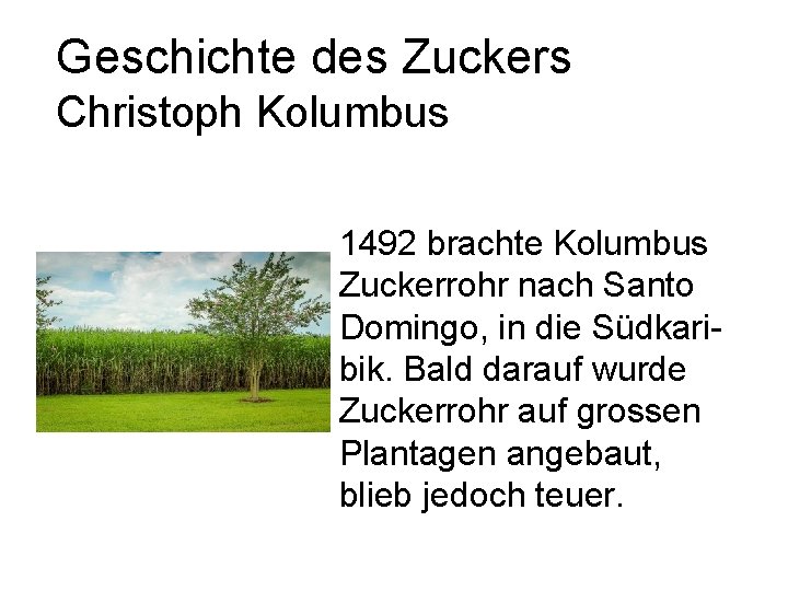 Geschichte des Zuckers Christoph Kolumbus 1492 brachte Kolumbus Zuckerrohr nach Santo Domingo, in die