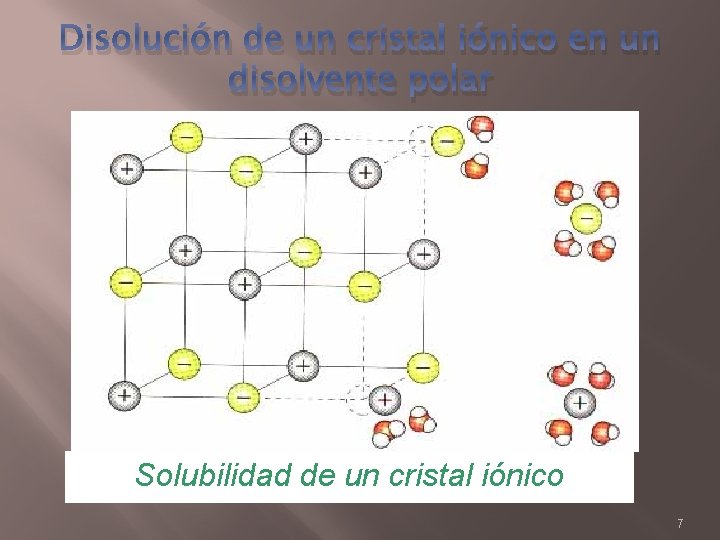Disolución de un cristal iónico en un disolvente polar Solubilidad de un cristal iónico