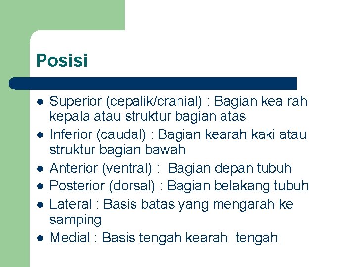 Posisi l l l Superior (cepalik/cranial) : Bagian kea rah kepala atau struktur bagian