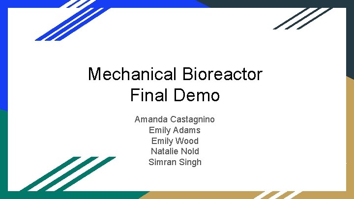 Mechanical Bioreactor Final Demo Amanda Castagnino Emily Adams Emily Wood Natalie Nold Simran Singh