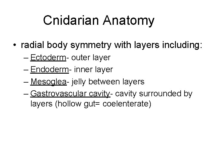 Cnidarian Anatomy • radial body symmetry with layers including: – Ectoderm- outer layer –