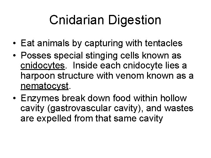 Cnidarian Digestion • Eat animals by capturing with tentacles • Posses special stinging cells