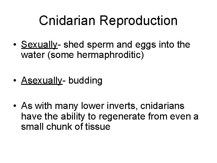 Cnidarian Reproduction • Sexually- shed sperm and eggs into the water (some hermaphroditic) •