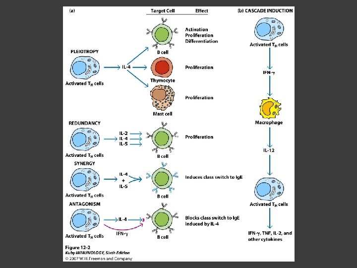 Receptors and Signaling Cytokines and Chemokines Cytokines Lowmolecular