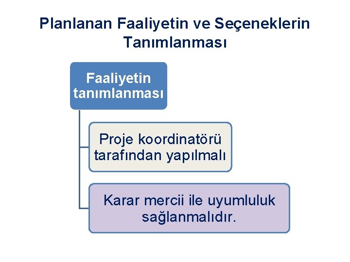 Planlanan Faaliyetin ve Seçeneklerin Tanımlanması Faaliyetin tanımlanması Proje koordinatörü tarafından yapılmalı Karar mercii ile