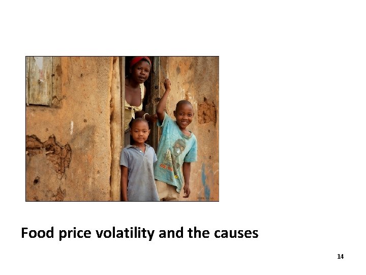 Food price volatility and the causes 14 