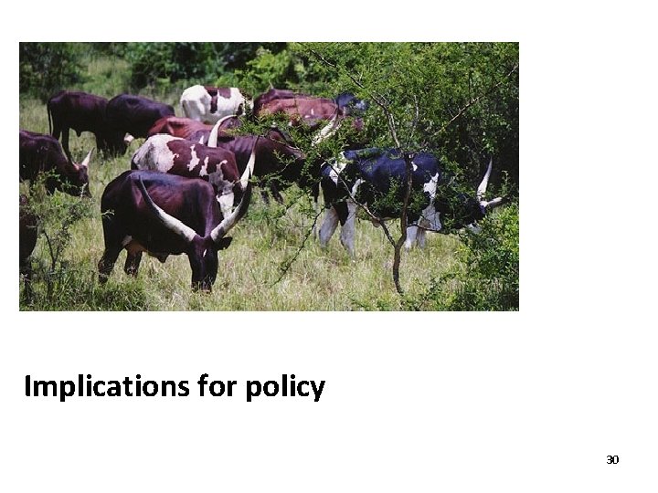 Implications for policy 30 