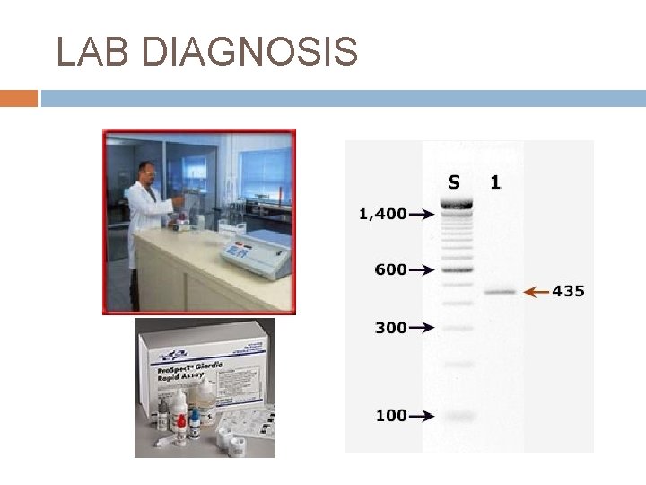 LAB DIAGNOSIS 