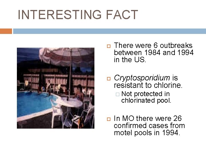 INTERESTING FACT There were 6 outbreaks between 1984 and 1994 in the US. Cryptosporidium