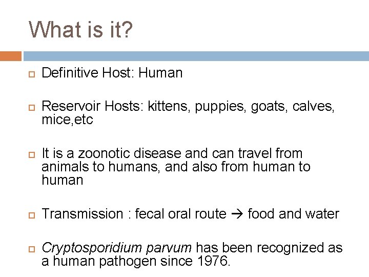 What is it? Definitive Host: Human Reservoir Hosts: kittens, puppies, goats, calves, mice, etc