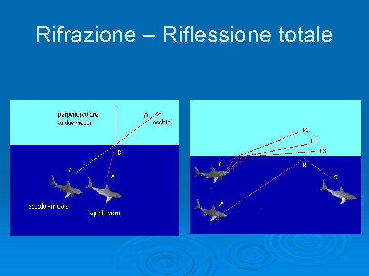 Rifrazione – Riflessione totale 