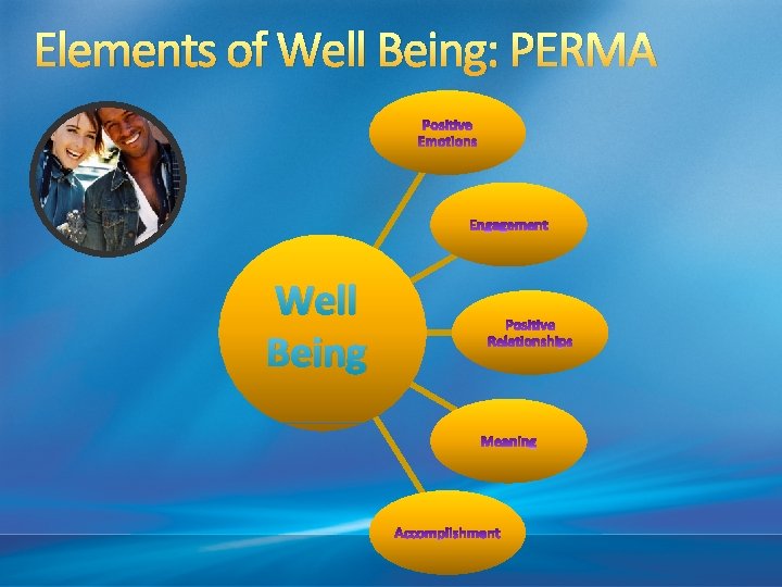 Elements of Well Being: PERMA Well Being 