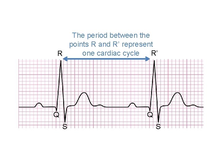 The period between the points R and R’ represent one cardiac cycle R’ R