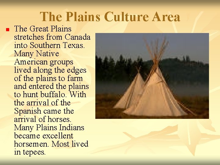 The Plains Culture Area n The Great Plains stretches from Canada into Southern Texas.