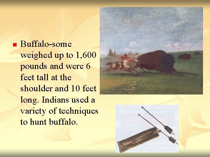 n Buffalo-some weighed up to 1, 600 pounds and were 6 feet tall at