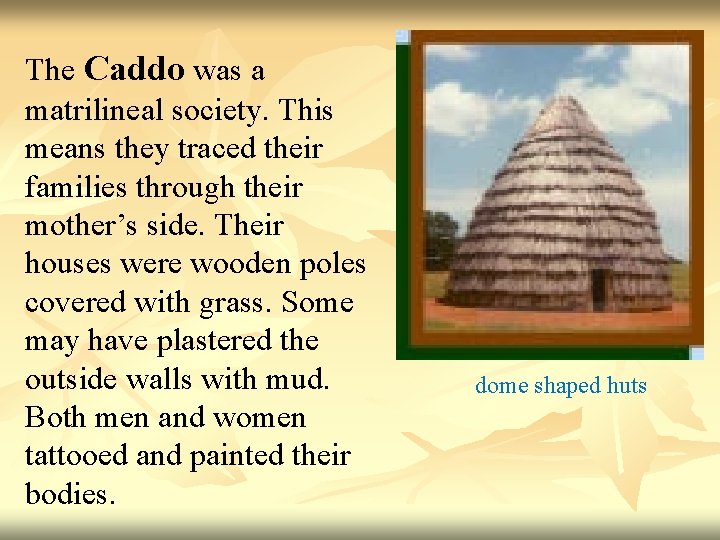 The Caddo was a matrilineal society. This means they traced their families through their