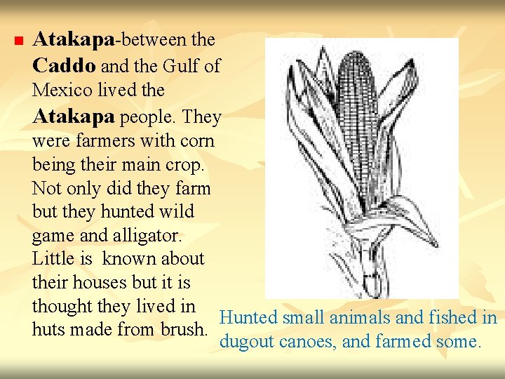 n Atakapa-between the Caddo and the Gulf of Mexico lived the Atakapa people. They