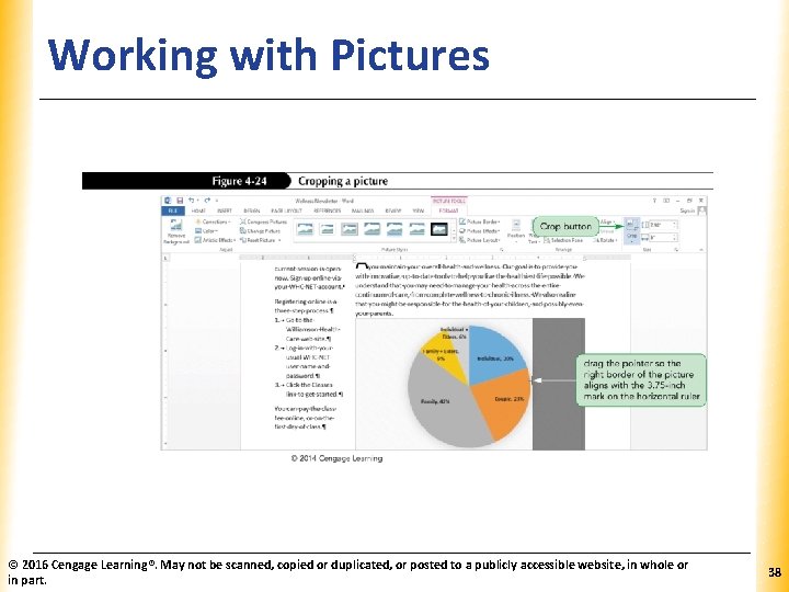 Working with Pictures © 2016 Cengage Learning®. May not be scanned, copied or duplicated,