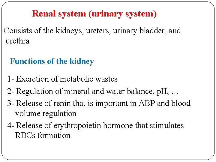 Renal system (urinary system) Consists of the kidneys, ureters, urinary bladder, and urethra Functions