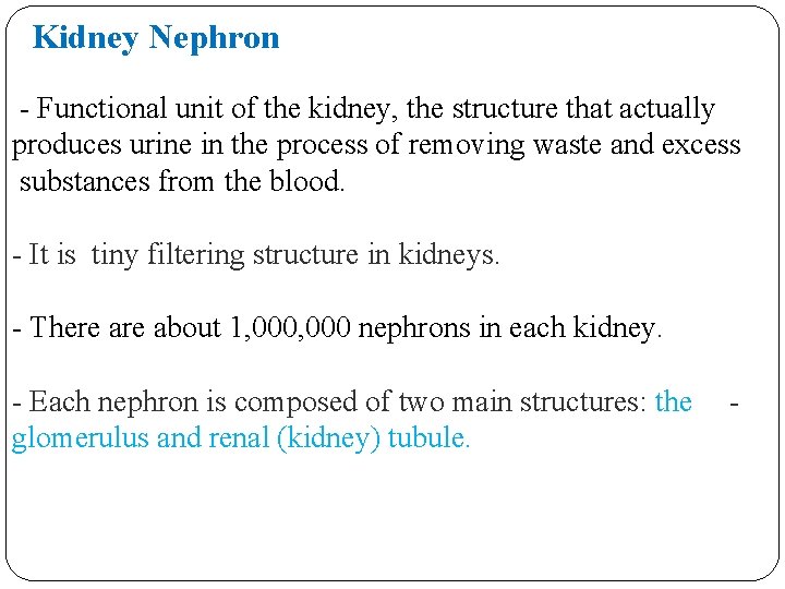 Kidney Nephron - Functional unit of the kidney, the structure that actually produces urine