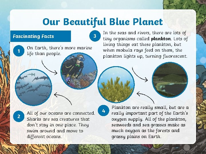 Our Beautiful Blue Planet Fascinating Facts 1 2