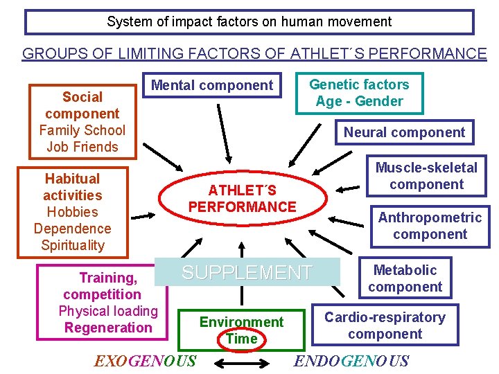 System of impact factors on human movement GROUPS OF LIMITING FACTORS OF ATHLET´S PERFORMANCE