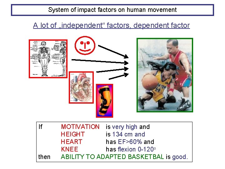 System of impact factors on human movement A lot of „independent“ factors, dependent factor