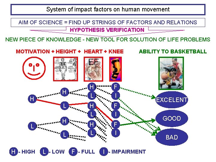 System of impact factors on human movement AIM OF SCIENCE = FIND UP STRINGS