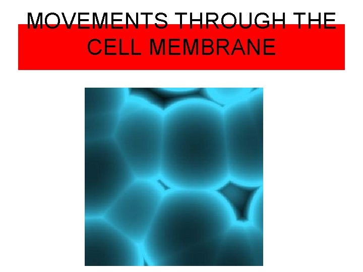 MOVEMENTS THROUGH THE CELL MEMBRANE 