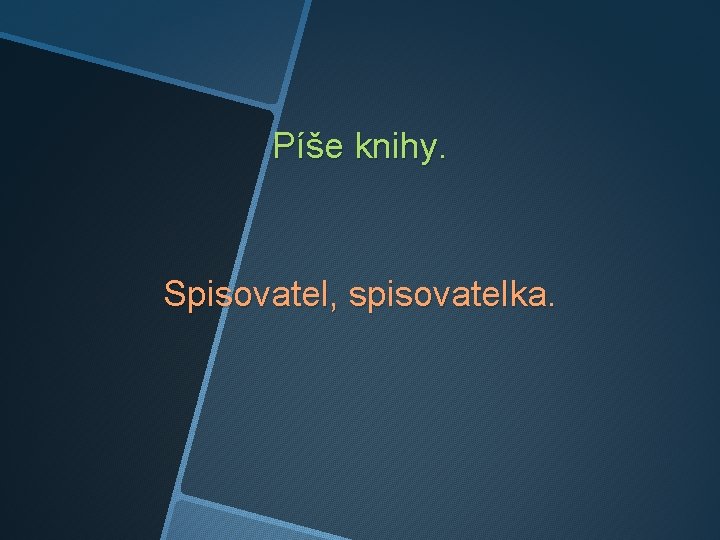 Píše knihy. Spisovatel, spisovatelka. 