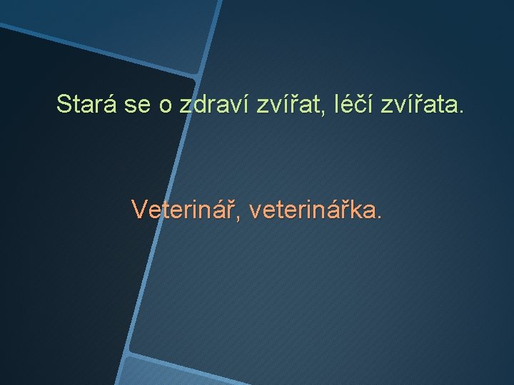 Stará se o zdraví zvířat, léčí zvířata. Veterinář, veterinářka. 