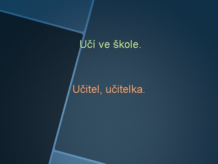 Učí ve škole. Učitel, učitelka. 