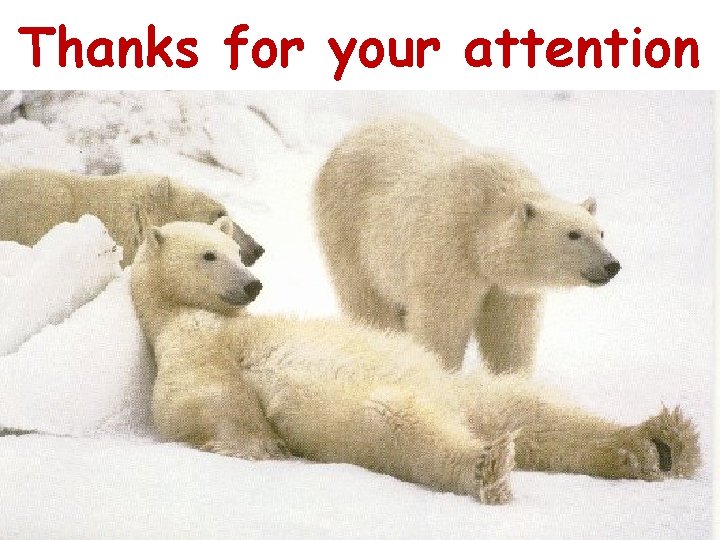 Thanks for your attention 