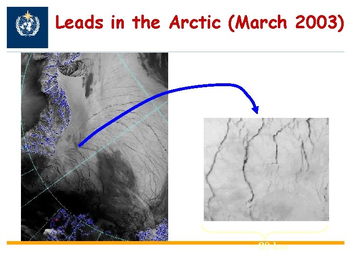 Leads in the Arctic (March 2003) ~ 80 km 